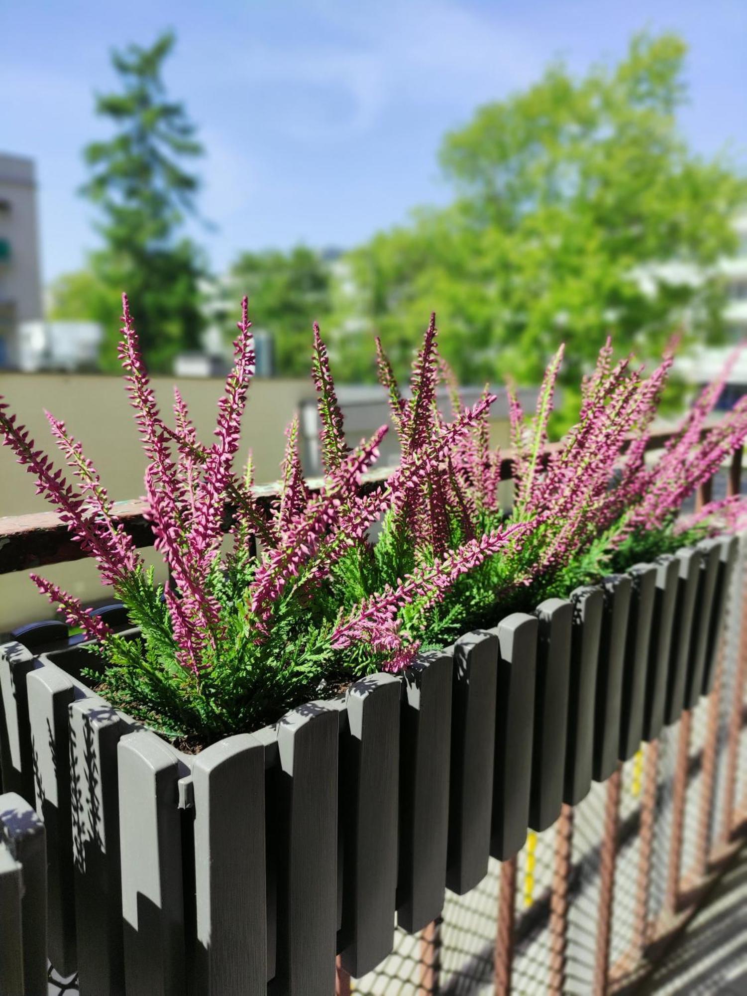 Wrzosowy Balkon